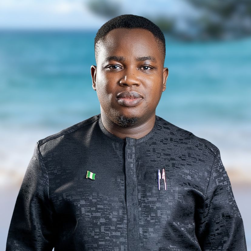 Olaoye Anthony Somide - Software Developer & Data Engineer